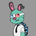 TTSTurtle3061