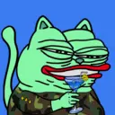 CHONKS4286