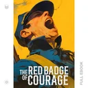 RedBadgeOfCourage090