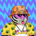 Tigerz2982