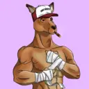 kangaroofightsociety#1343