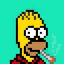 HomerPunks8884