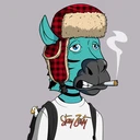 ZESTYZEBRA4344