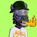 ZESTYZEBRA5013