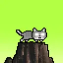 NyanCat1229