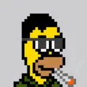 HomerPunks341