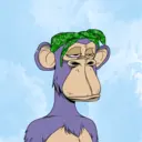 CardanoBoredApe2051