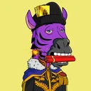 ZESTYZEBRA5006