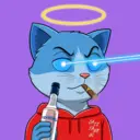 CATSTANBUL247