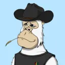 ChilledKong1542