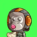 Cool Chimpz #4876