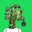 GenuineGiraffe_3921