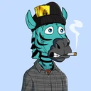 ZESTYZEBRA1749