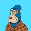 ChilledKong3118