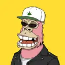 ChilledKong5349