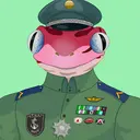 FrogNationArmy31006