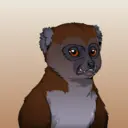 GaiaMadasLemur0795