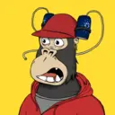 ChilledKong1748
