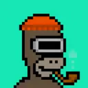 HomerPunks403