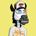 ZESTYZEBRA1606