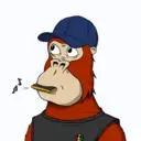 ChilledKong4662