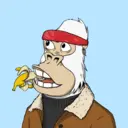 ChilledKong2368