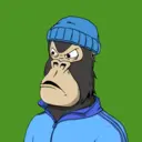 ChilledKong1643
