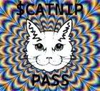 CatNipCoin...