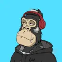 ChilledKong4857