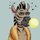 ZESTYZEBRA197