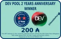 DevPool2YearsLotteryWinner