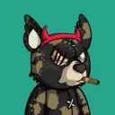 SavageBears1764
