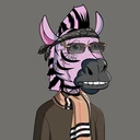 ZESTYZEBRA3784
