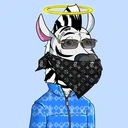 ZESTYZEBRA5163
