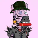 ZESTYZEBRA2315