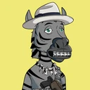 ZESTYZEBRA5214