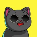 crycat1335
