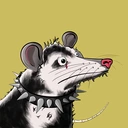 Possum #1952