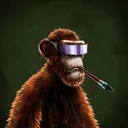 adapeRalphBaldwin