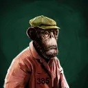 adapeOlinRobinson