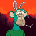 CardanoBoredApe404