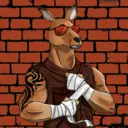 kangaroofightsociety#4033