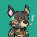 SavageBears1046