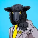 Highland BAA 