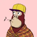 ChilledKong8164
