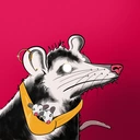 Possum #294