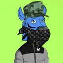 ZESTYZEBRA5390