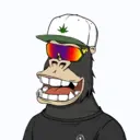 ChilledKong1836