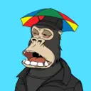 ChilledKong3007