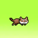 NyanCat1955